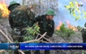Bản tin Thời sự 14h ngày 25/06/2026