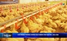 Bản tin Thời sự 14h ngày 28/6/2026