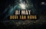 Phá án: Bí mật dưới tán rừng