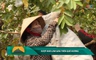Dân tộc miền núi ngày 07/6/2026