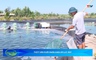Bản tin Nông nghiệp – Nông thôn ngày 01/7/2026