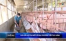 Bản tin Thời sự 9h ngày 4/7/2026